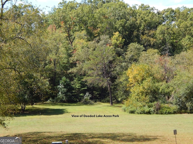 381 Hidden Lakeview Cir, Hiawassee, GA 30546 - view of tree filled area