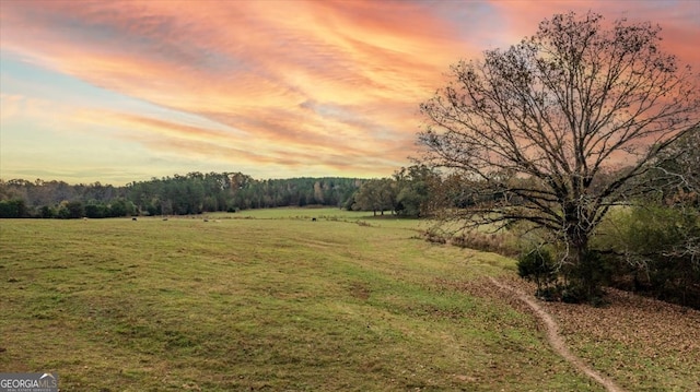 view of yard at dusk