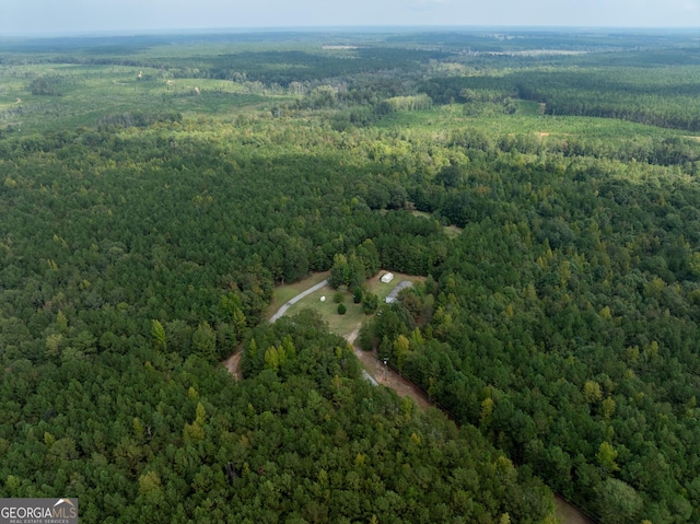 bird's eye view