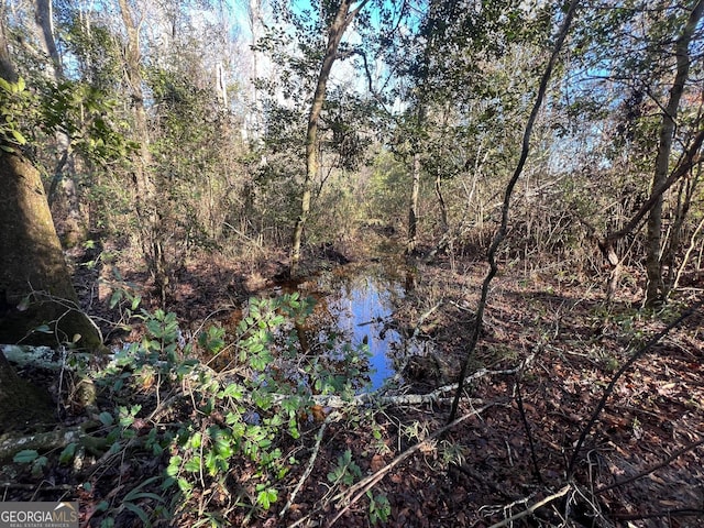 view of local wilderness with a water view