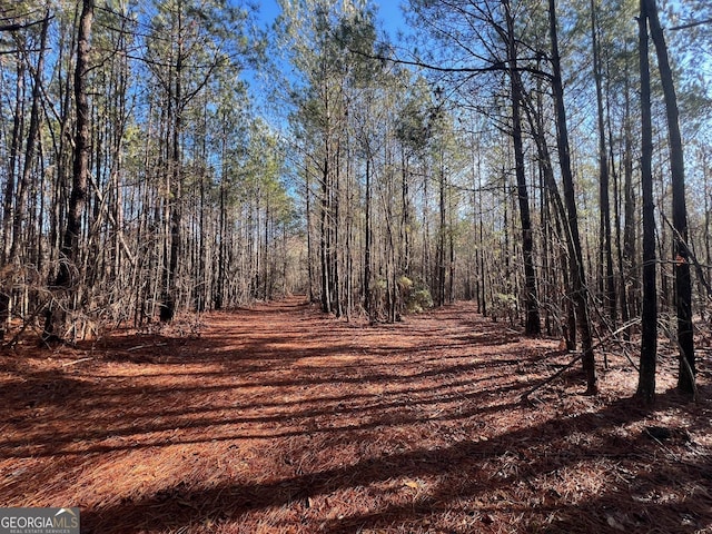 view of local wilderness