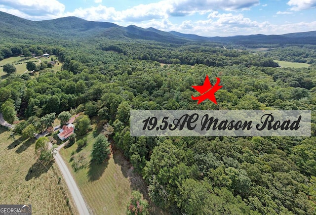 19.5 Mason Rd, Blairsville GA, 30512 land for sale