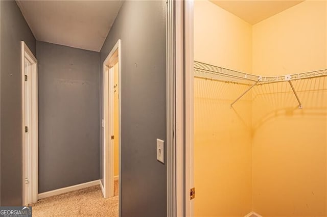 walk in closet with light colored carpet