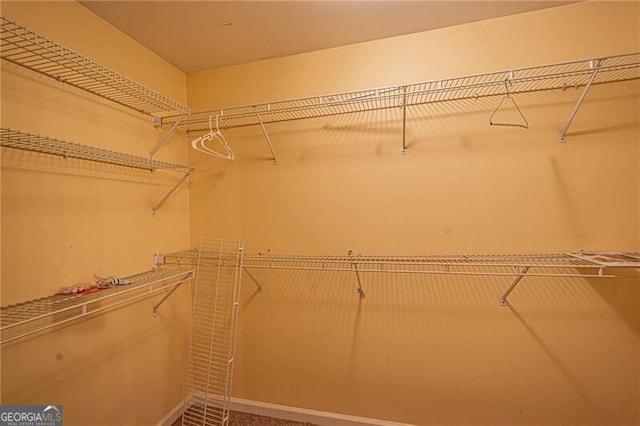 view of walk in closet