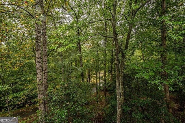 view of local wilderness