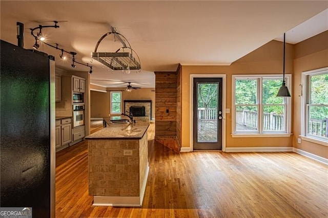 kitchen featuring stainless steel appliances, light hardwood / wood-style floors, a healthy amount of sunlight, and sink