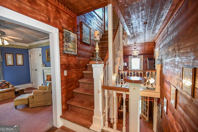 stairs with carpet, wood ceiling, wooden walls, and ceiling fan