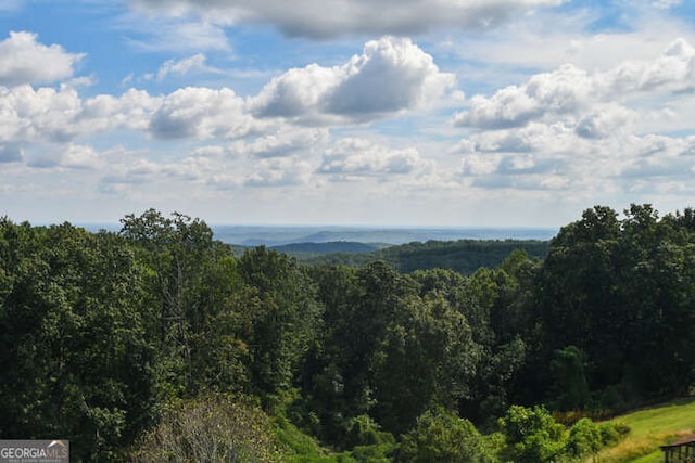 view of mountain feature