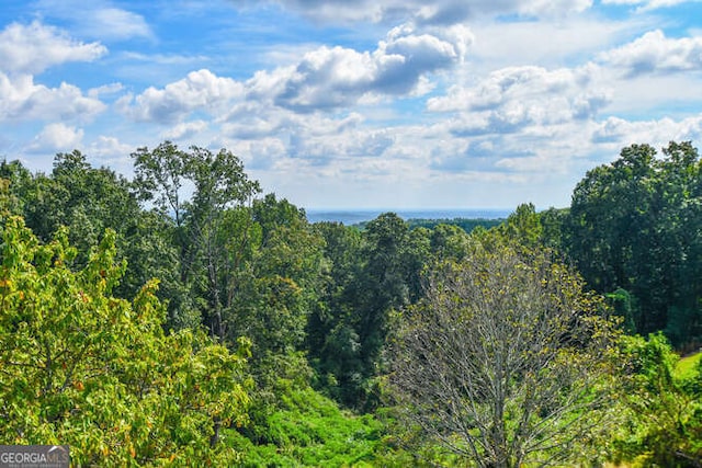 view of mountain feature