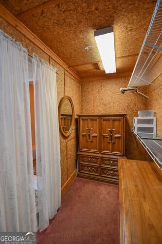 spacious closet featuring carpet floors