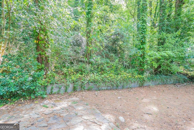 2836 Harlan Dr, Atlanta, GA 30344 - view of yard