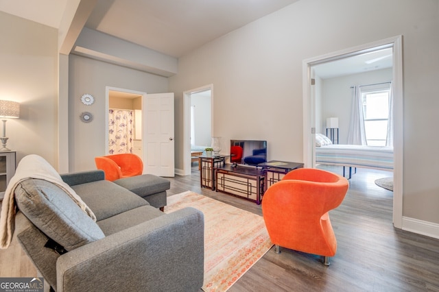 living room with hardwood / wood-style floors