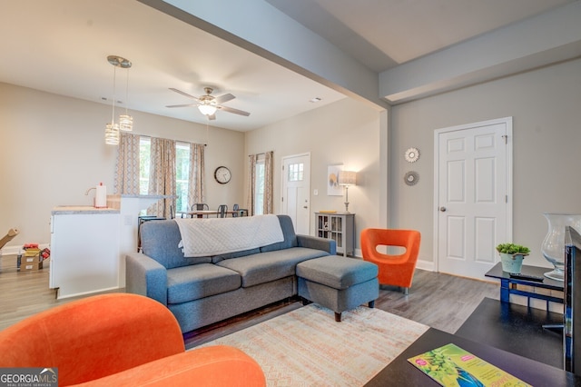 living room with ceiling fan and hardwood / wood-style flooring