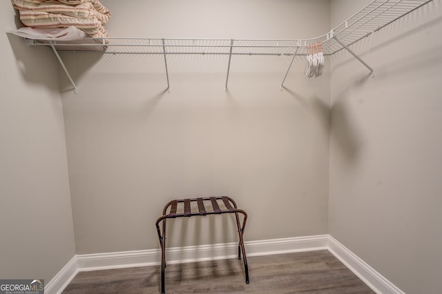 spacious closet featuring hardwood / wood-style flooring