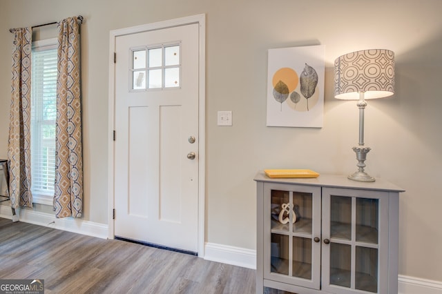 entryway with wood-type flooring and plenty of natural light