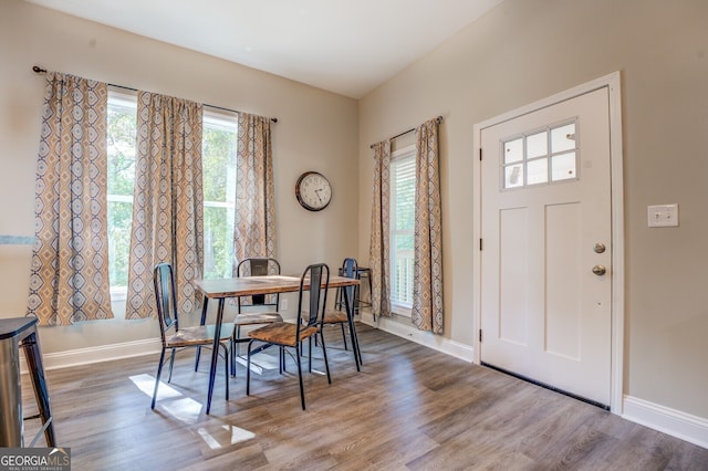 dining area featuring hardwood / wood-style floors and a healthy amount of sunlight