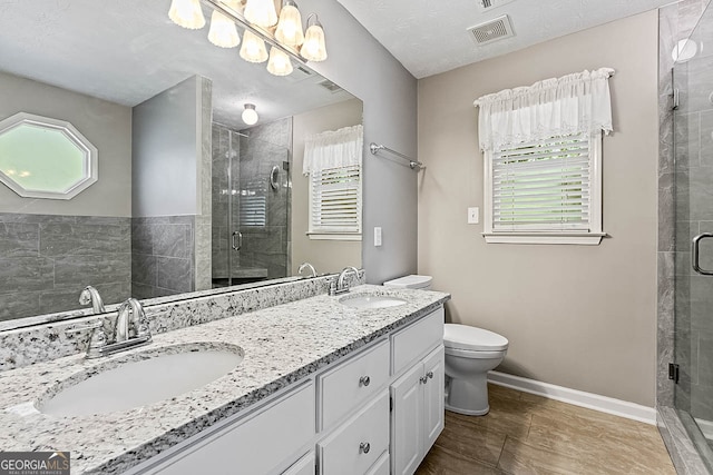 bathroom featuring vanity, toilet, a shower with door, and a healthy amount of sunlight