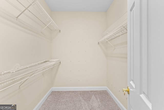 walk in closet with carpet flooring