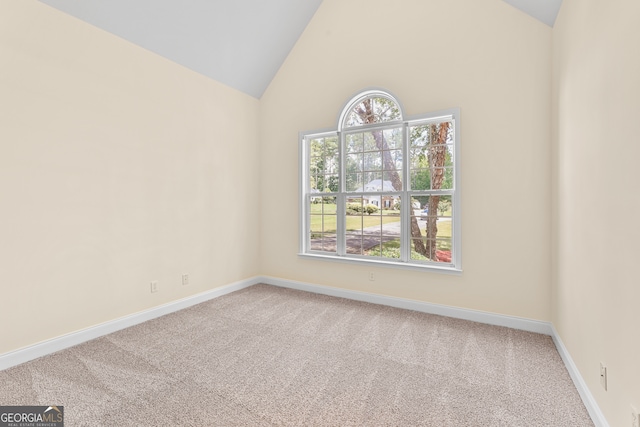 spare room with carpet and high vaulted ceiling