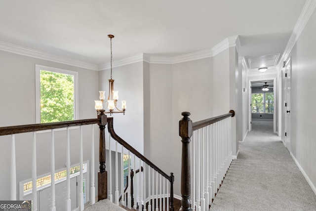 hall featuring light colored carpet, an inviting chandelier, and crown molding