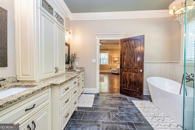 bathroom featuring plenty of natural light, a bathtub, ornamental molding, and vanity