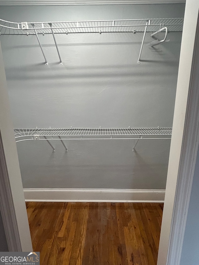 walk in closet with dark hardwood / wood-style flooring