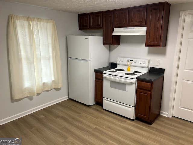 kitchen with light hardwood / wood-style floors, a textured ceiling, white appliances, and dark brown cabinetry