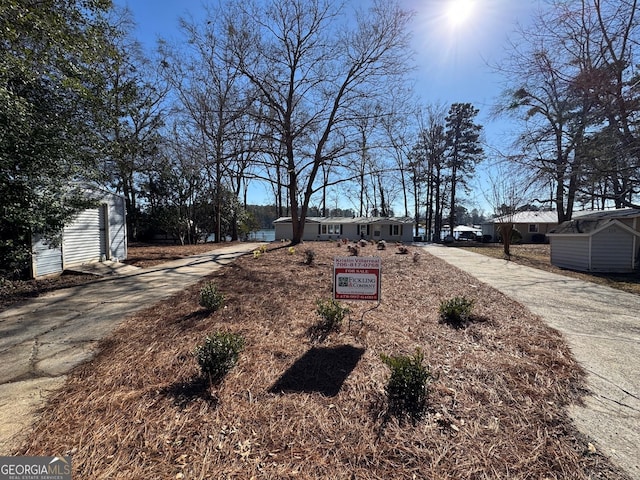 view of yard featuring driveway, a storage shed, and an outdoor structure