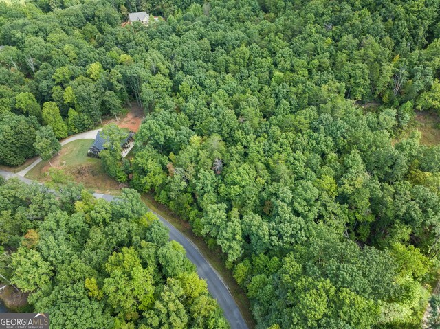 LOT49 Long Mountain Trl, Cleveland GA, 30528 land for sale