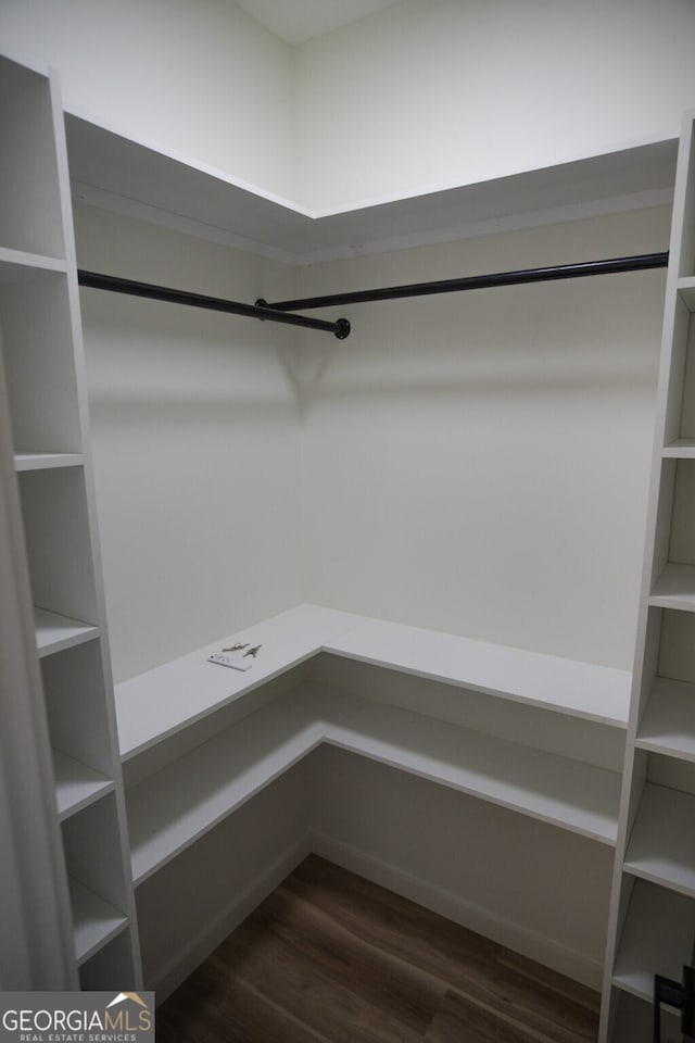 walk in closet featuring dark hardwood / wood-style flooring