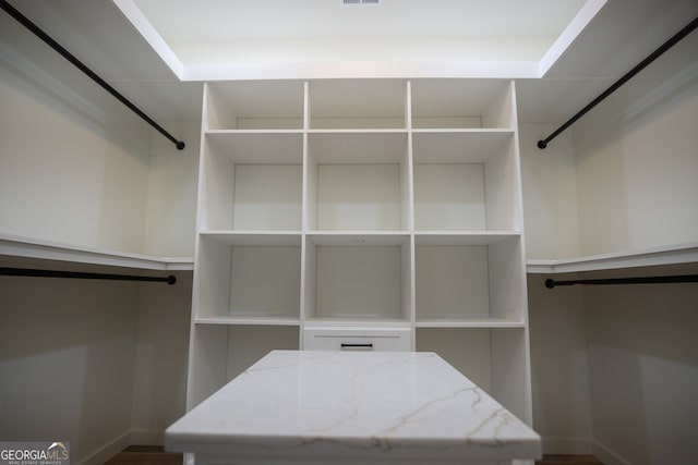 walk in closet featuring hardwood / wood-style flooring