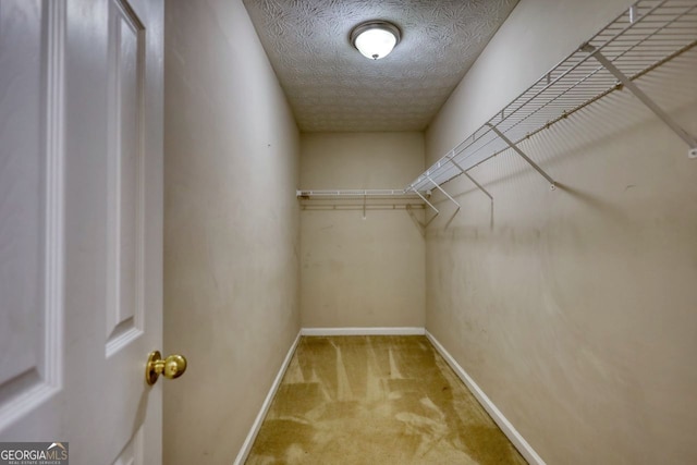 walk in closet featuring carpet floors