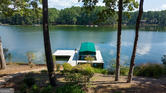 dock area featuring a water view