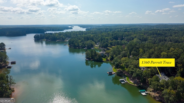 drone / aerial view featuring a water view