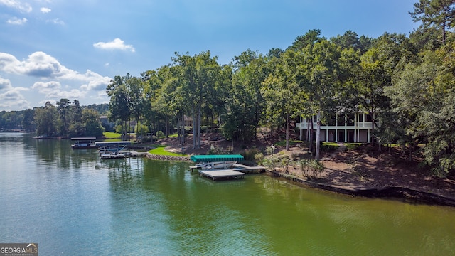 water view featuring a dock