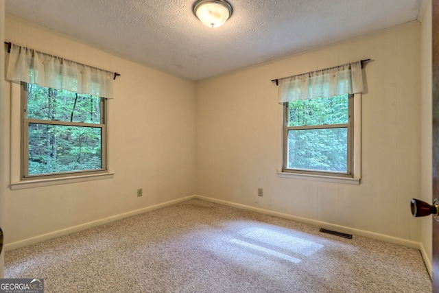 carpeted empty room featuring plenty of natural light and a textured ceiling