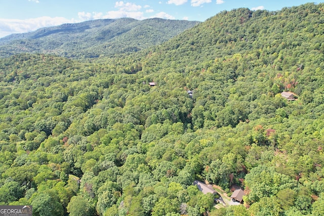 birds eye view of property with a mountain view