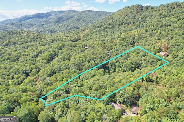 birds eye view of property with a mountain view