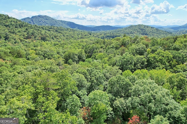 property view of mountains