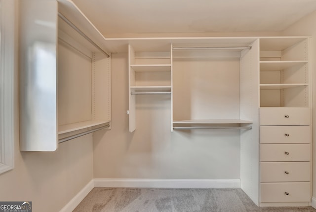 spacious closet featuring light colored carpet