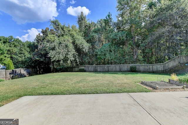 view of yard featuring a patio