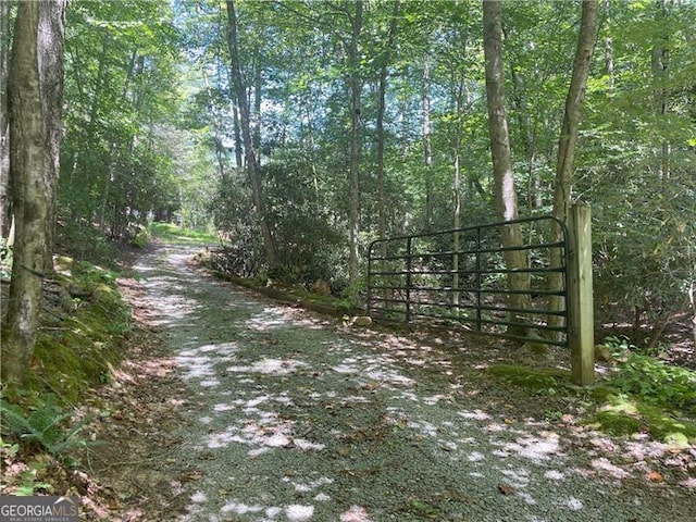 view of street with a gate, a gated entry, and a wooded view