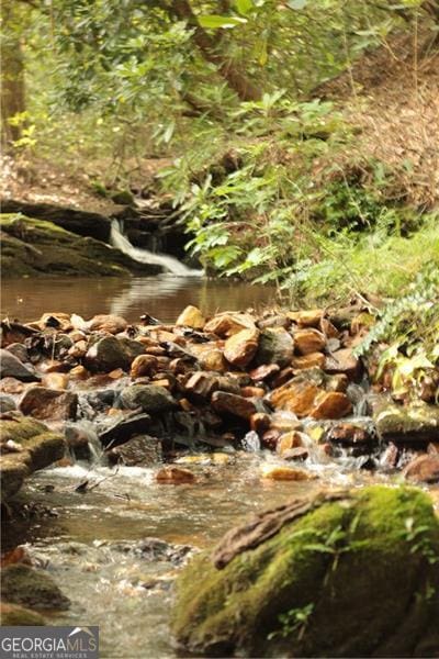 view of local wilderness