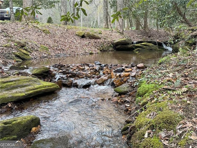 view of local wilderness