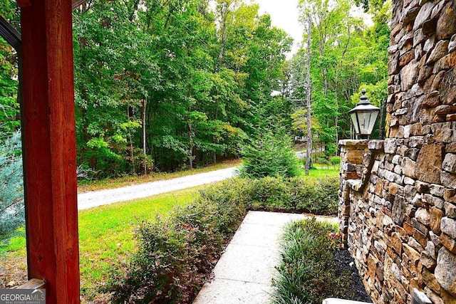 1625 Brushy Mountain Rd, Rockmart, GA 30153 - view of yard