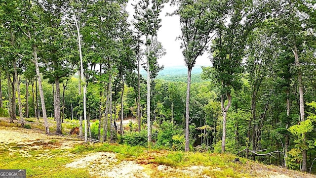 view of local wilderness