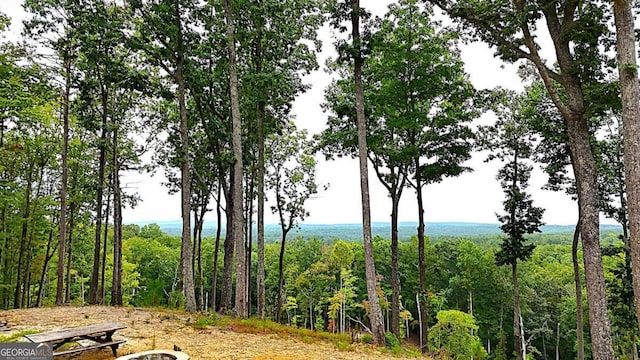 view of nature