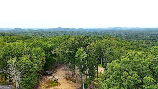 1625 Brushy Mountain Rd, Rockmart, GA 30153 - drone / aerial view of a forest