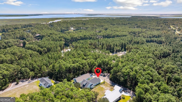 birds eye view of property with a water view and a wooded view