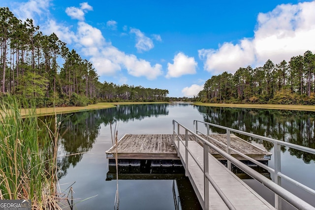 dock area with a water view